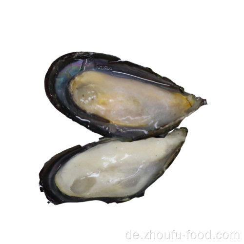 Gefrorene Schalentiere Muscheln hohe Qualität